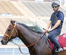 Satono Reve was ridden on the course proper prior to the barrier draw by race jockey Joao ‘The Magic Man’ Moreira.