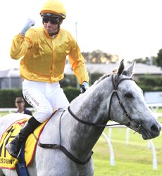 Blake Shinn brings Bois D'Argent back to scale after winner last year's Group 1 Doomben Cup