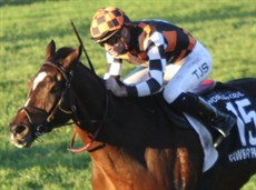Fawkner Park win last year's Q22