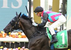 Shinn takes Antino through the line as a clearcut winner

Photos: Darren Winningham