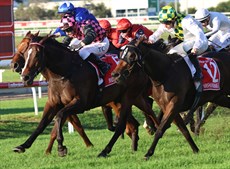 The Doomben 10 000 finish with Payline (on the inside in the blue silks) right in it over the closing stages. He now goes to the Group 1 Kingsford Smith Cup 