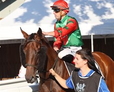 Poster Girl ... she will line up in the Group 1 Queensland Oaks

Photos: Darren Winningham and Graham Potter