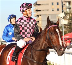 Rothfire ... he always seems up for the fight whether the battle is on or off the track