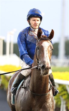 Will the blue colours win again ... I've got Godolphin's Pinito (pictured above and below) to win the Group 1 Queensland Oaks