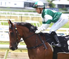 A local stable could get us off to a good start ... I like the Kelly Schweida trained Sunrays to take out the first race