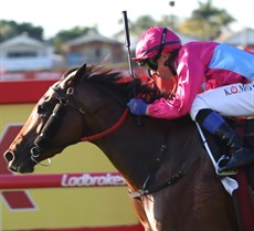 Philia is the strong local fancy in the Oaks. She could have the Queenslanders cheering