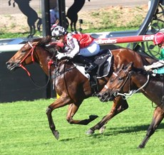 The Inflictor wins the Gateway and a ticket into the Stradbroke back in December