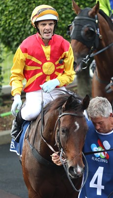 Noel Callow in happier times ... bringing Depth Of Character back to scale after winning the Queensland Guineas on May 3.

How quickly things can turn.

Photo:Graham Potter