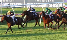 Far Too Easy chases the Stradbroke favourite War Machine home in the BRC Sprint

Photos: Darren Winningham and Graham Potter
