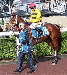 She Ours ... my best bet (see race 1)

Photos: Graham Potter