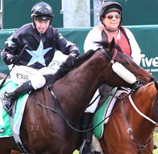 Flash Aah returns ti scale after his Ipswich Cup win 