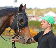 Photos: Darren Winningham