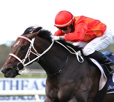 Beriman guides Chakra Boy to victory at the Sunshine Coast on Saturday

Photos: Graham Potter and Darren Winningham