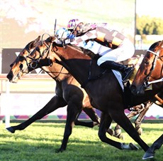... won by the narrowest of margins

Photos: Darren Winningham