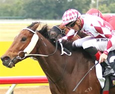 The Big Goodbye winning the Ramornie