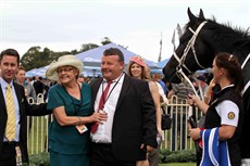 Brazen Beau 78