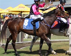 Shiraz Attack 16