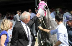 Slate On Edge 31