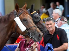 Diamond Fund 13
