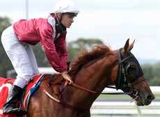Lady Jetsetter 11