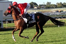 Hot Snitzel 3