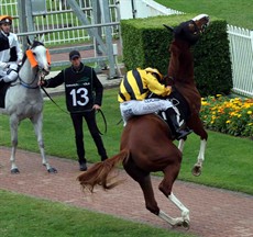 1 - Matthew McGillivray is already unconscious after being struck sharply by the rearing horse's head. The rest is self-explanatory