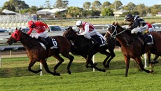 GP - Redzel 11