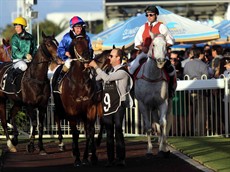 Return to scale 6