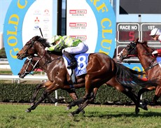 Winning Accord 11
