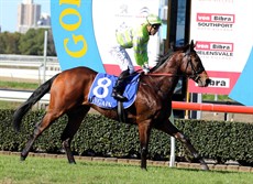 Winning Accord 13