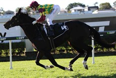 Sheiswhatsheis - race finish angle 1 - 10