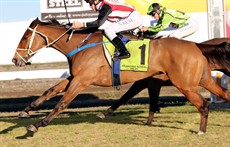 Mickey Dazzler 12