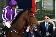 Highland Reel 4