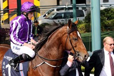 Highland Reel 5