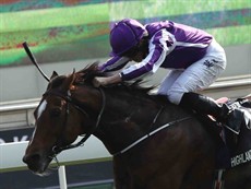 Highland Reel 10