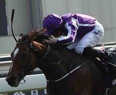 Highland Reel 11