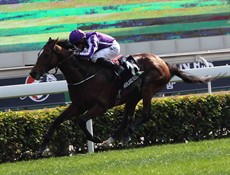 Highland Reel 12