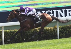 Highland Reel 13