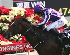 Highland Reel 14