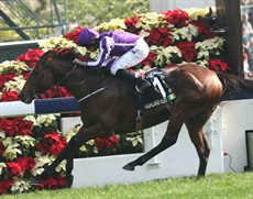 Highland Reel 15