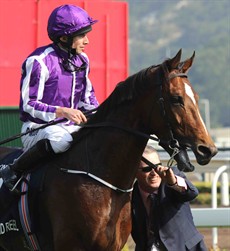 Highland Reel 20