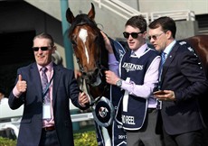 Highland Reel 22