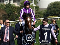 Highland Reel 23