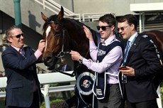 Highland Reel 24