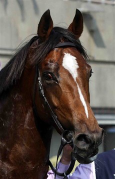 Highland Reel 29