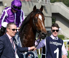 Highland Reel 30