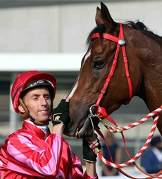 Mr Stunning 32