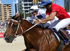 Magic Millions Beach Run 13