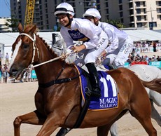 Magic Millions Beach Run 14