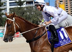 Magic Millions Beach Run 15